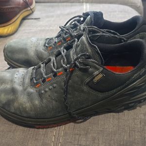 Ecco goretex biom